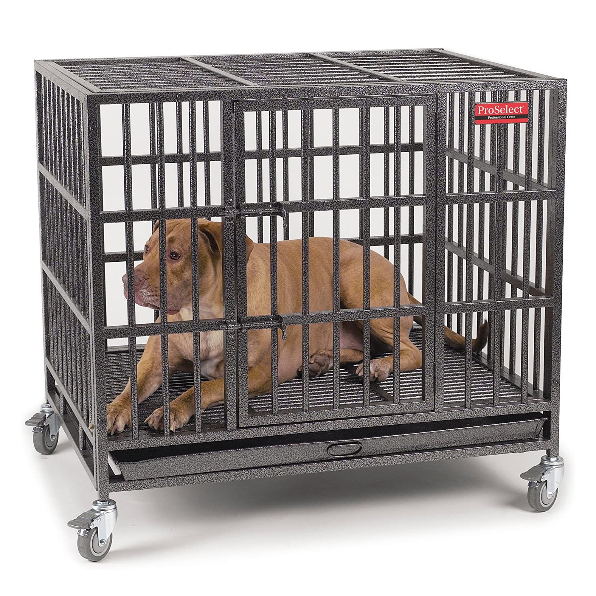 proselect dog crate