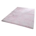 thumbnail image 3 of Birdeem Super Soft Rug Rug, Indoor Modern Plush Area Rug for Living Room, Bedroom, Home Decor, Upgraded Durable Rectangular Plush Rug, 3 of 5