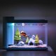 thumbnail image 5 of Acuario Diver Fish Tank Adorno submarino Decoración de paisaje flotante acuático Hugtrwg  Para estrenar, 5 of 7