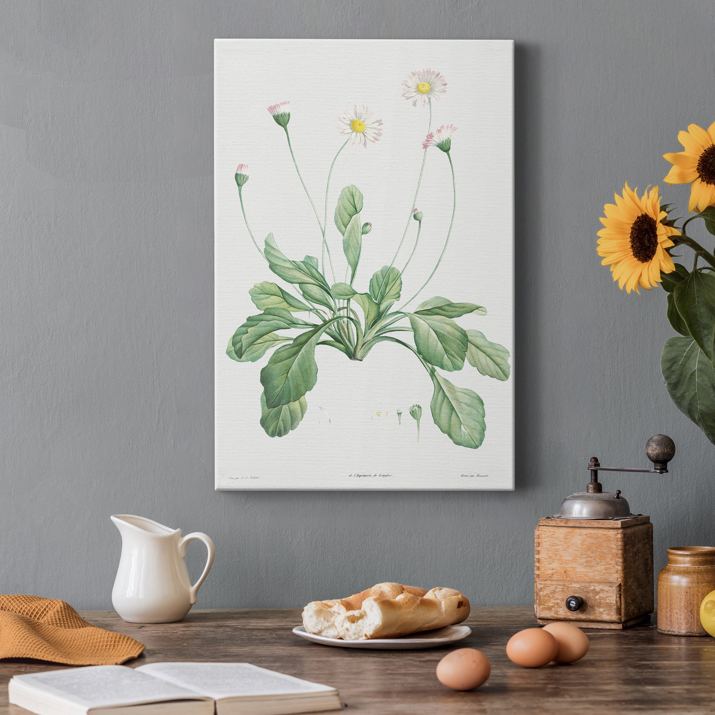Daisy Premium Gallery Wrapped Canvas - Ready to Hang - 8 x 12