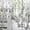 Gray, variant on Kiplyki Wholesale Peony Sheer Curtain Tulle Window Treatment Voile Drape Valance 1 Panel Fabric