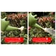 thumbnail image 5 of Regadera para Riego de Plantas, Maceta Doméstica, Maceta para Jardinería, Moldeo Por Inyección, Herramienta de Jardinería Reforzada, 4 Litros, 5 of 5