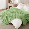 thumbnail image 1 of Cobija Tamaño Queen, Cobija de Tiras Extra Suave, Mantas Acogedoras y Esponjosas para Cama, Sofá, Ligera y Versátil para Oficina, Recámara, Picnic, Decoración Del Hogar, 90x108" Salvia, 1 of 6