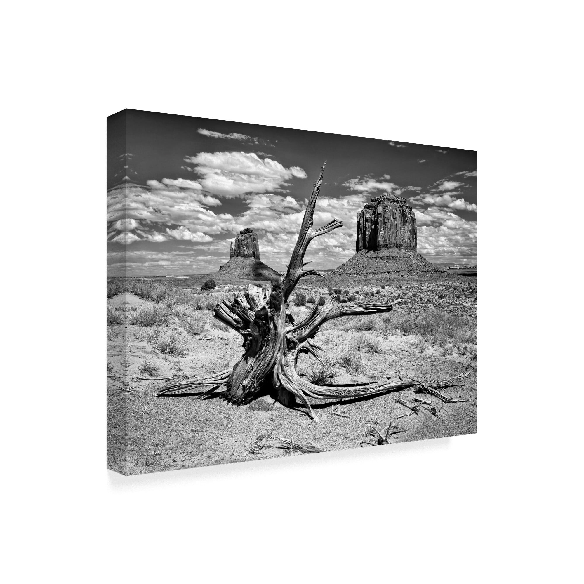 Trademark Fine Art 'Black And White Desert View V' Canvas Art by David Drost
