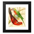 thumbnail image 2 of W. A . Blakston 12x14 Black Modern Framed Museum Art Print Titled - Blue Striped Lory, Blue Mountain Lory (1878), 2 of 5