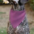 thumbnail image 5 of Buckle-Down Birthday Girl Text Pinks White Slip On Collar&nbsp;Bandana Only, 5 of 6