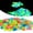 Multi Color, variant on Spencer 300PCS Luminous Pebbles Stones Glow Rocks for Fish Tank, Glow in The Dark Rocks for Indoor and Outdoor Walkways Garden Driveway (Green)