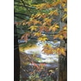 thumbnail image 2 of Rotenberg, Nancy 17x24 White Modern Wood Framed Museum Art Print Titled - USA, New Hampshire, Stream and fall foliage, 2 of 4