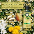 thumbnail image 4 of Shampoo Herbal Essences Brillo Manzanilla & Pasiflora 400 ml, 4 of 5