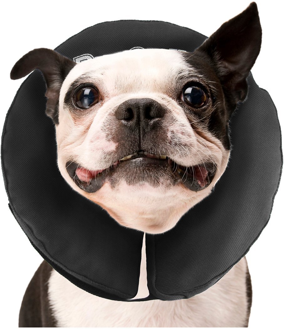 zenpet soft recovery collar