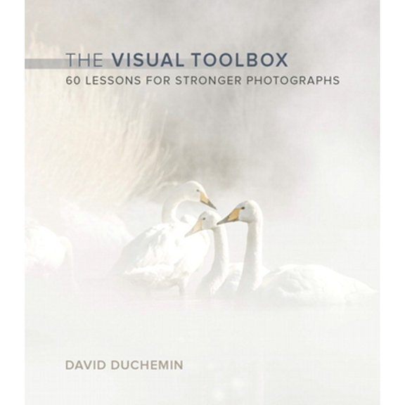 Pre-Owned The Visual Toolbox: 60 Lessons for Stronger Photographs (Paperback) 013408506X 9780134085067