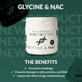 thumbnail image 3 of DoNotAge.org Glycine & NAC 366 capsules - 300mg of Glycine and 300mg of NAC - Antioxidant - Anti-Aging Supplement, Vegan, 3 of 6