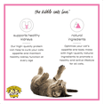thumbnail image 4 of Dr. Elsey's cleanprotein Grain-Free Pork Flavor Dry Cat Food for All Life Stages 6.6 lb. Bag, 4 of 8
