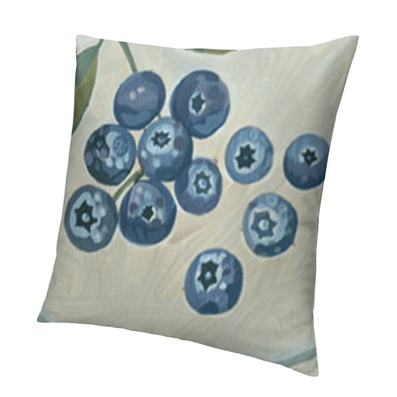 BANET Cute Blueberry Print Decorative Throw Pillowcases Decor for Couch Sofa Bed
