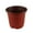 C, variant on THHEIC 100PCS Seed Starting Pots, Plant Containers for Succulents and Seedlings, Ceramic Planters for All House Plants, Succulents, Flowers, Cactus, Patio & Garden