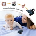 thumbnail image 4 of MasteelfCA 1 Set Simulated Plastic Animal Models Eco-friendly Life Growth Cycle Toys Set, 4 of 7