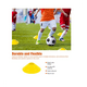 thumbnail image 4 of Set De Portería Fútbol Niños Jardín Plegable Portátil Belug Anaranjado, 4 of 5