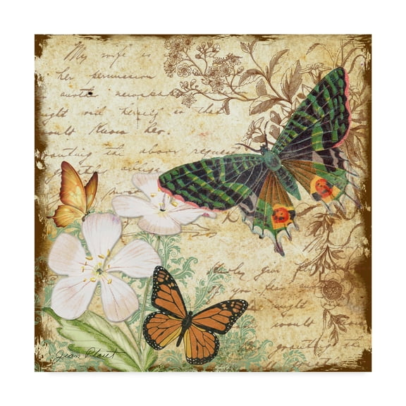 Trademark Fine Art 'Inspirational Butterflies 4' Canvas Art by Jean Plout