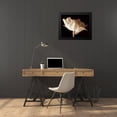 thumbnail image 4 of Britt, Charles 24x20 Black Modern Framed Museum Art Print Titled - Champagne Tulip IV, 4 of 5