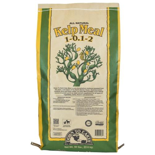 Image result for kelp meal