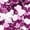 Purple, variant on FRSASU 3/4 Length Sleeve Womens Tops Dressy Casual Crewneck Pullover Tunics Summer Cute Blouses Fashion Print Tees Shirts Yellow