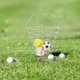 thumbnail image 4 of NUOLUX Organizador Para Bola De Golf Portátil Inoxidable Con Duradero Y, 4 of 8