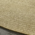 thumbnail image 4 of Superior Braided Indoor/ Outdoor Area Rug, 5' x 8', Fog Green, 4 of 6