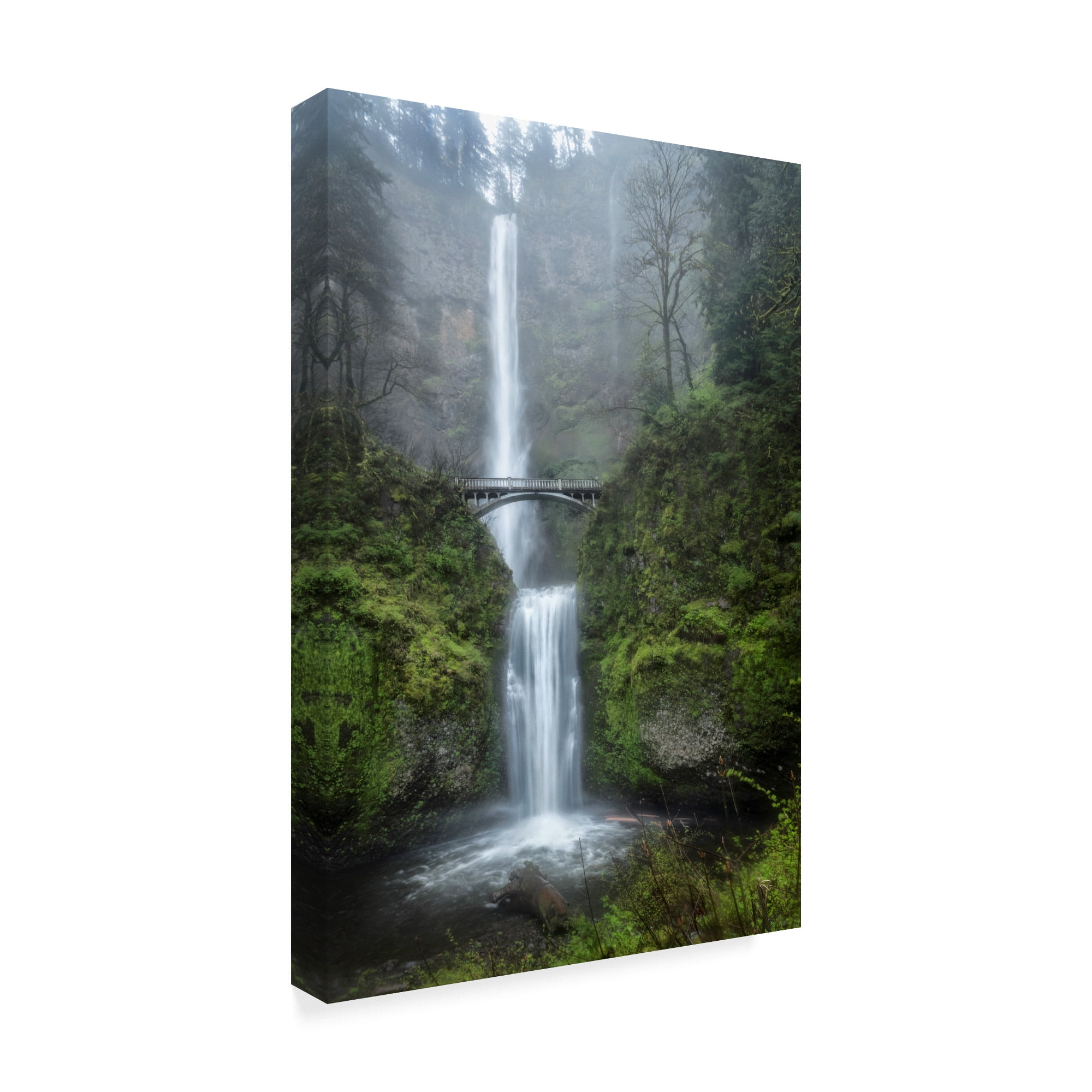 Trademark Fine Art 'Dreamland Waterfall' Canvas Art by Danny Head