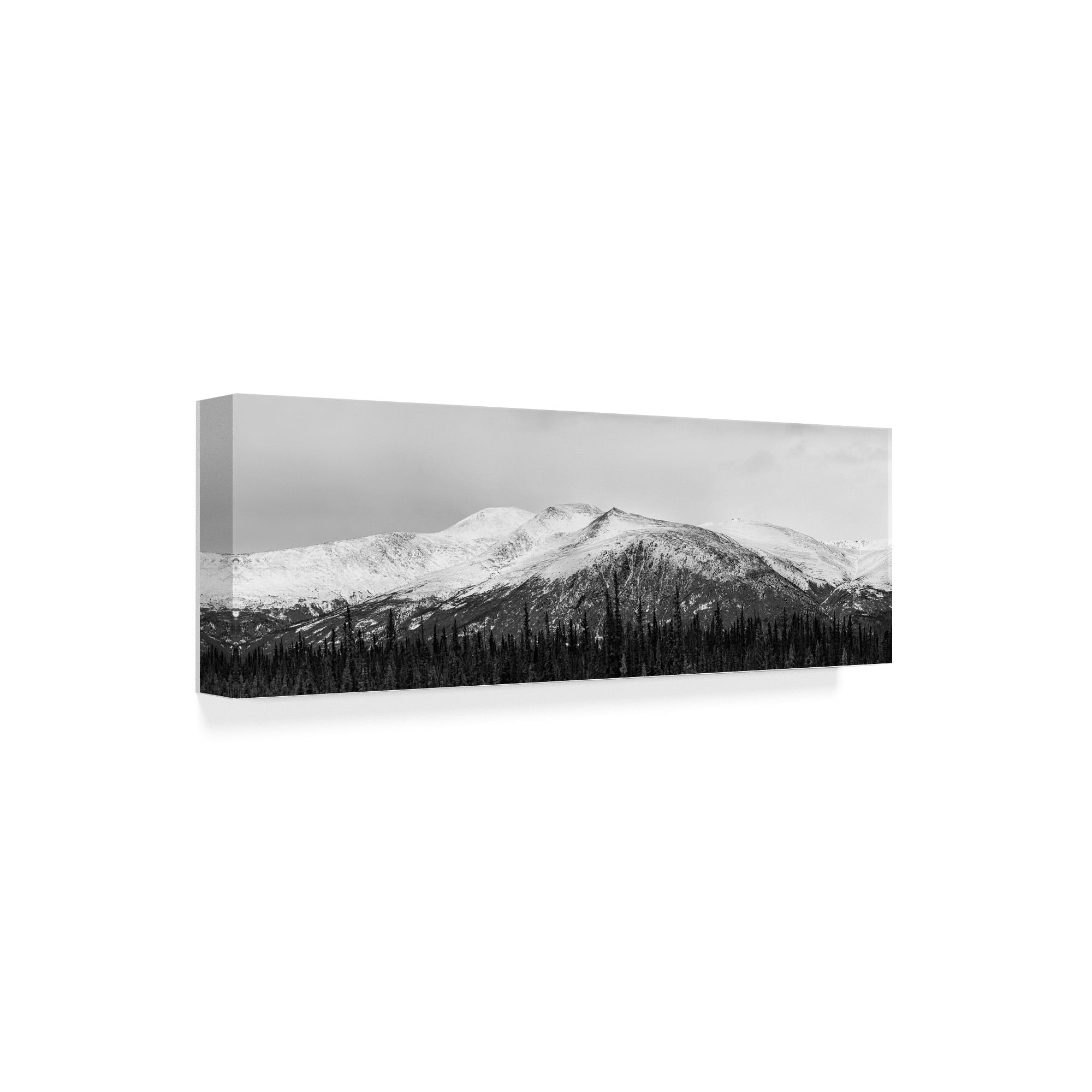 Trademark Fine Art 'Cloudy Snowscape' Canvas Art by Brenda Petrella Photography Llc