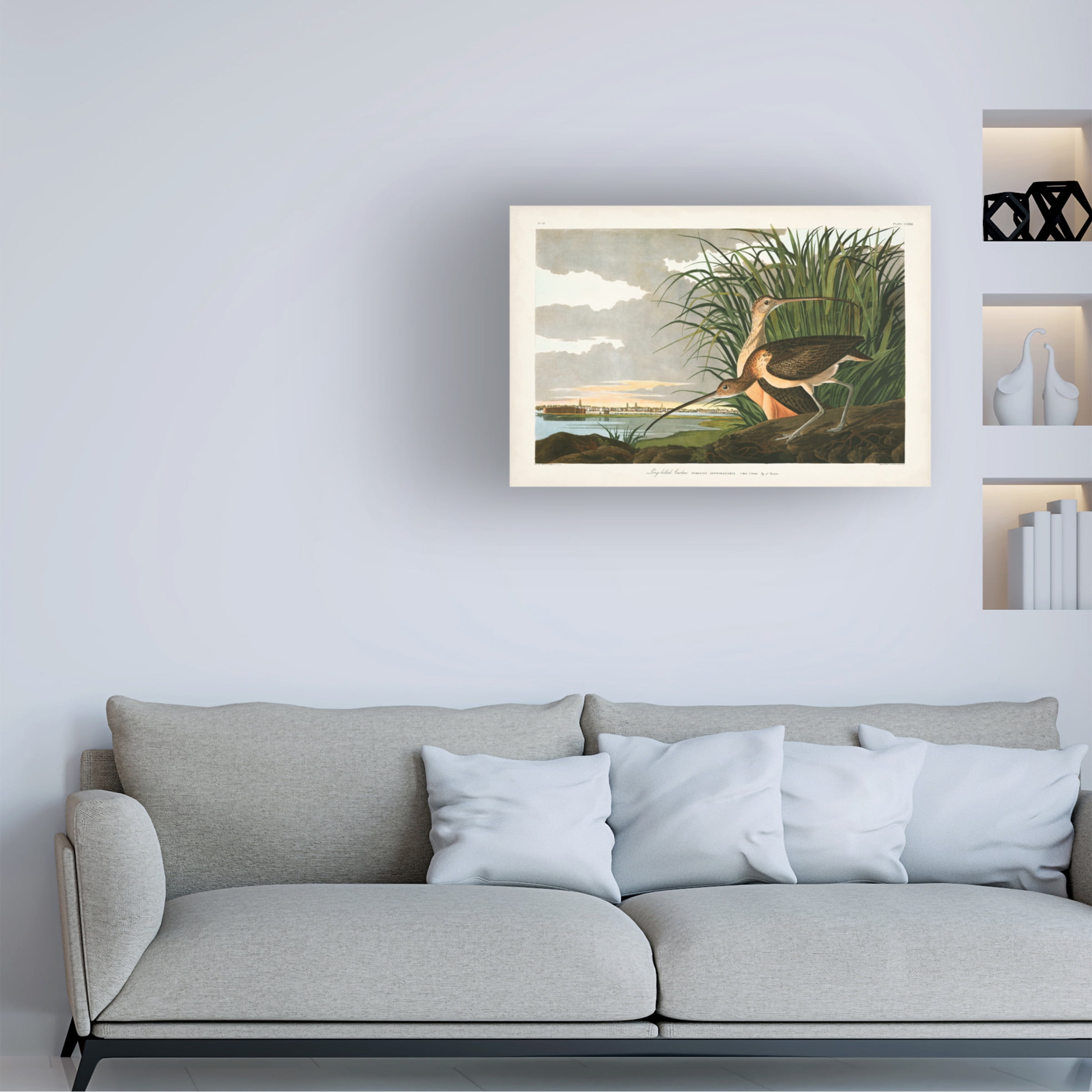 John James Audubon 'Long billed Curlew' Canvas Art