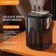 thumbnail image 5 of Handle Mist Humidifier with 3 Liter Water Tank Stylish Airs Purification Atomizer for Home Bedroom, 5 of 5