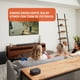 thumbnail image 2 of Barra de Sonido y Subwoofer JBL Bar 800 5.1.2 WiFi y Bluetooth, Negro., 2 of 5