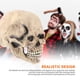 thumbnail image 3 of Máscara De Calavera De Cabeza Completa Casco De Calavera Realista Con Mandíbula Móvil Máscara De Esqueleto 3D Decoración De Miedo Espeluznante Para Fiesta De Disfraces De Halloween (Gris/Blanco) Speravity HA026625-01, 3 of 6
