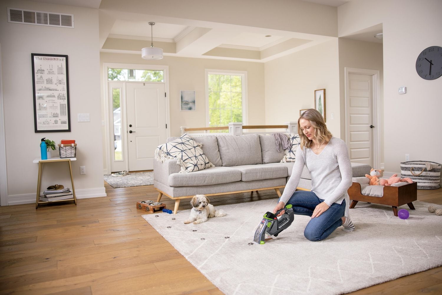 BISSELL® Pet Stain Eraser™