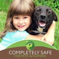 thumbnail image 3 of Collar antipulgas para perros, paquete de 3 tratamientos contra pulgas y garrapatas, tratamiento contra pulgas para perros de 8 meses, ajustable, 3 of 3
