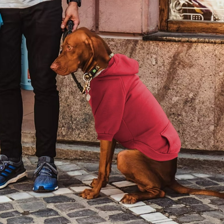 Walmart dog top sweaters xxl