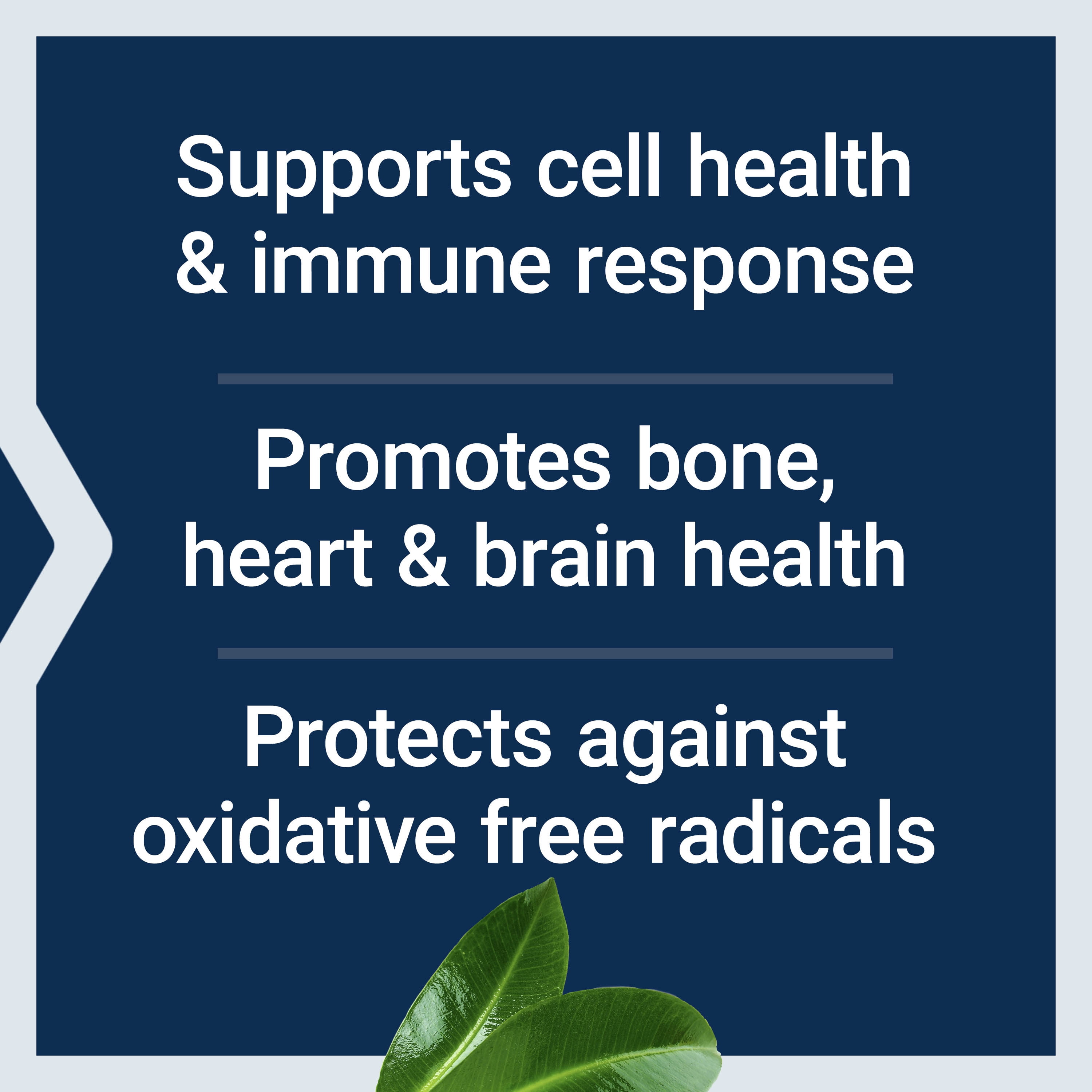 Life Extension Whole Food Multivitamin – Plant-Derived Vitamins and Minerals Supplement for General Health – Nutrients from Fruits and Veggies – Gluten-Free, Non-GMO, Vegetarian – 90 Capsules
