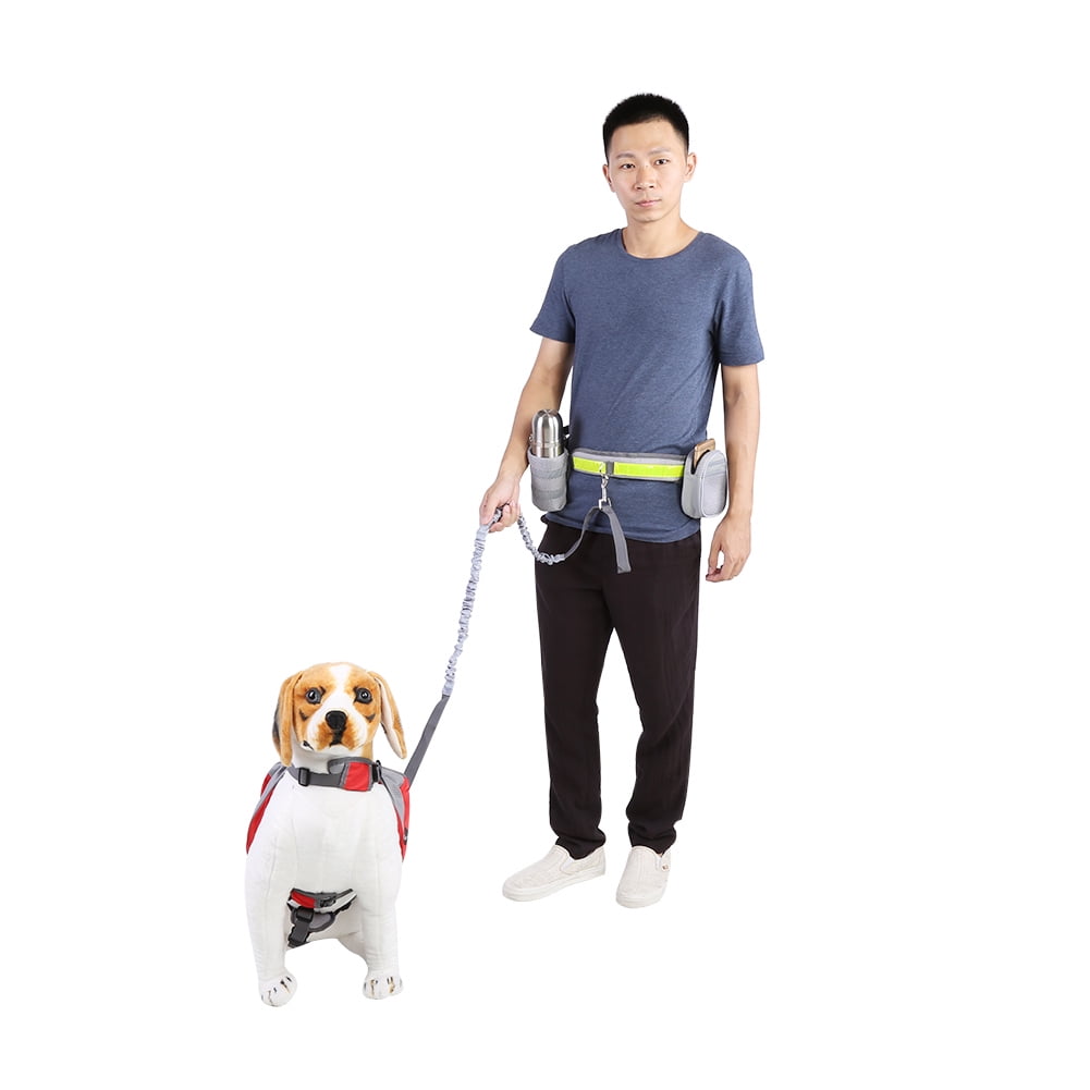 Dog leash phone holder hotsell