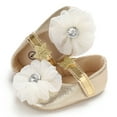 thumbnail image 5 of Biezeib Baby Girl Dress Shoes Cute Flower/Bow Mary Jane Flats Non-Slip Rubber Sole Crib Shoes, 5 of 6