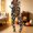Orange plus size halloween pajamas for women a8, variant on sdhkgrrt Women's Plus Size 2 Piece Pajama Set Collared Long Sleeve Shirt Wide Leg Pants Halloween Printed Lounge Outfit Soft Loose Matching Casual Fall Tracksuit, Black 2XL