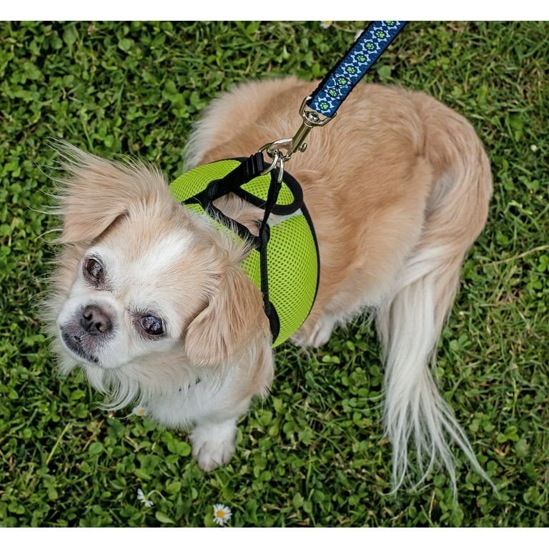 RC Pet Products 65403001-RC Step-in Cirque Dog Harness, Black