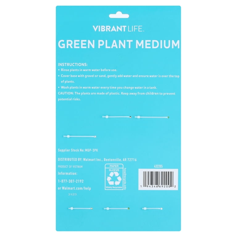 Vibrant Life Medium Plant Set, Green, 3 Pieces photo 4