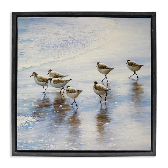 Stupell Industries Coastal Sand Dancers on Shore Black Floating Frame Canvas Art, 18 x 18, by Bruce Nawrocke