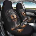 thumbnail image 3 of POLERO Dachshund Pattern Polyester Vehicle Seat Covers Breathable, Soft Front Seat Cover for Women, 2 Pcs Car Seat Covers, 3 of 8