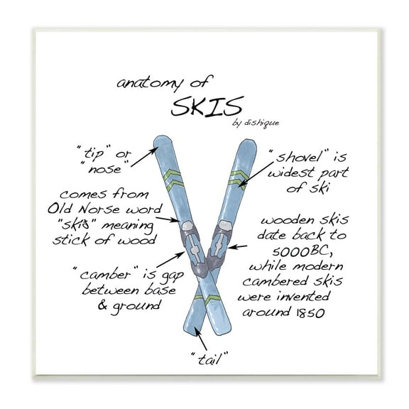 Stupell Industries Anatomy of Skis Winter Sports Diagram Facts Chart Graphic Art Unframed Art Print Wall Art, Design by Dishique