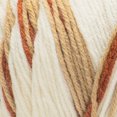 thumbnail image 3 of Red Heart® All In One Flower Power™ #4 Worsted (Medium) Acrylic Yarn, 8.8oz/250g 417 Yards, 3 of 5
