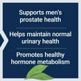 thumbnail image 3 of Life Extension PalmettoGuard® Saw Palmetto, Nettle Root and Beta-Sitosterol - Supports Healthy Prostate Function & Hormone Metabolism - Gluten-Free, Non GMO - 60 Softgels, 3 of 9