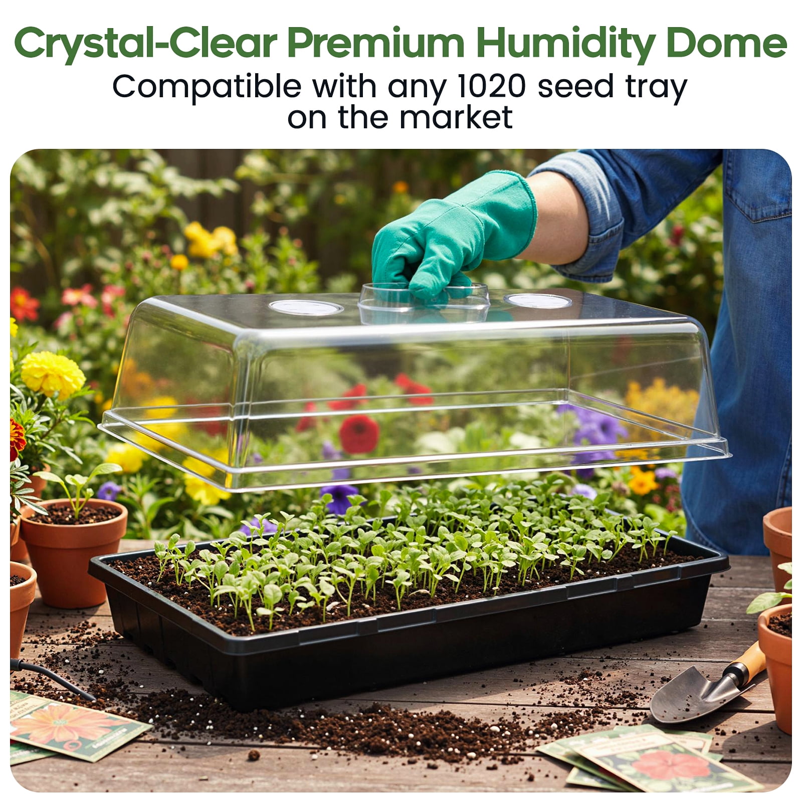 20-Pack Heavy Duty 1020 Seed Starter Trays with 5" Humidity Domes, Thick Plant Propagation Trays with Clear Domes for Greenhouse Seed Germination & Microgreens