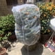 thumbnail image 5 of Likrtyny Cubierta Transparente Antipájaros para Árboles Frutales Bonsái para Frutas Y Verduras (230 Cm), 5 of 9