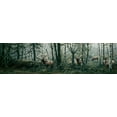 thumbnail image 2 of Tift, Jeff 24x9 White Modern Wood Framed Museum Art Print Titled - Enchanted Forest, 2 of 4